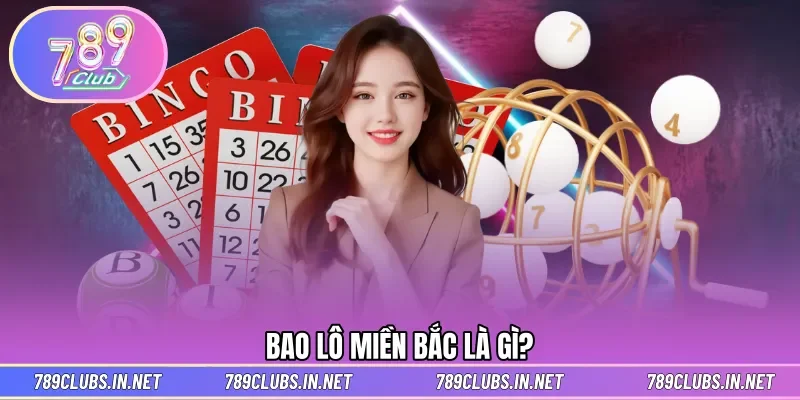 Giới thiệu bao lô xổ số miền Bắc hấp dẫn