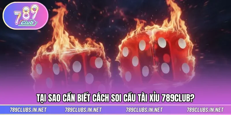 Lý do cần nắm rõ cách soi cầu hiệu quả trong ván game
